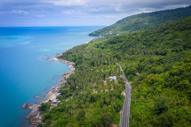 Vista aérea da estrada entre o coqueiro e o grande oceano durante o dia