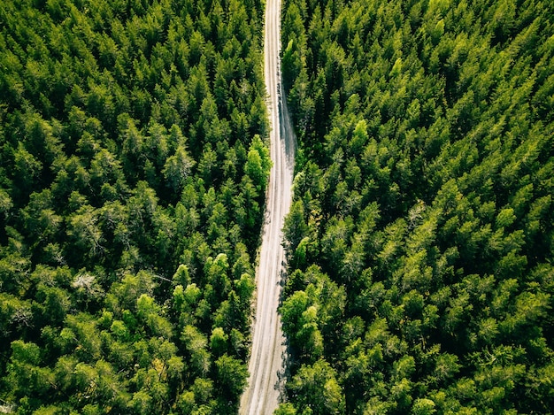 Vista aérea da estrada florestal de verão verde Drone foto de cima