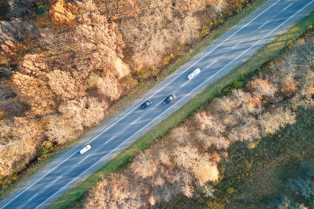 Vista aérea da estrada interurbana com carros de condução rápida entre árvores florestais de outono ao pôr do sol vista superior do drone do tráfego rodoviário à noite