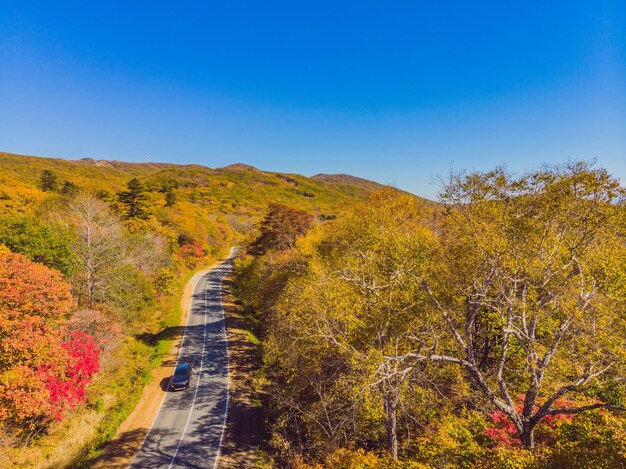 Vista aérea da estrada na bela floresta de outono ao pôr do sol Bela paisagem com árvores de estrada rural vazia com folhas vermelhas e laranja Rodovia através do parque Vista superior do drone voador Natureza