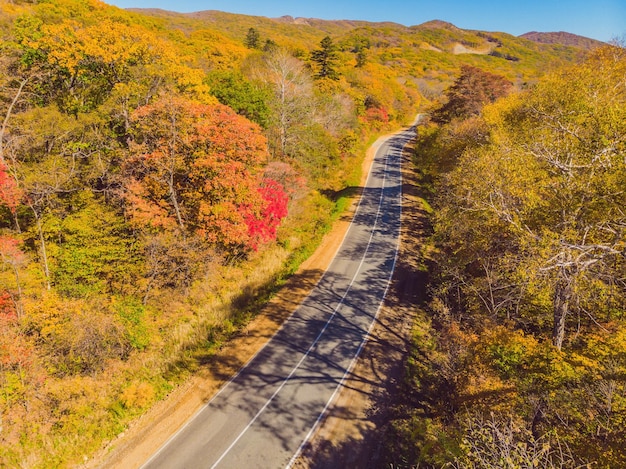 Vista aérea da estrada na bela floresta de outono ao pôr do sol Bela paisagem com árvores de estrada rural vazia com folhas vermelhas e laranja Rodovia através do parque Vista superior do drone voador Natureza