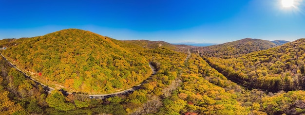 Vista aérea da estrada na bela floresta de outono ao pôr do sol Bela paisagem com árvores de estrada rural vazia com folhas vermelhas e laranja Rodovia através do parque Vista superior do drone voador Natureza