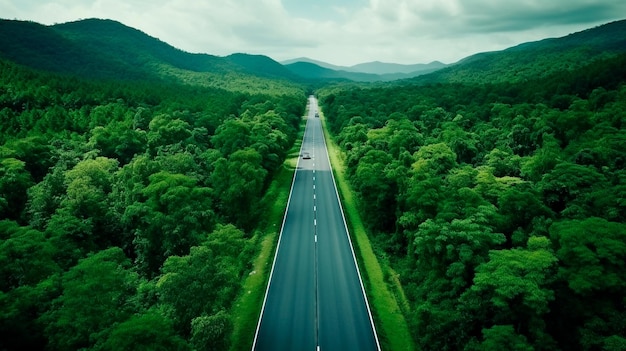 vista aérea da estrada na floresta Generative AI