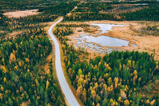 Vista aérea da estrada sinuosa e da floresta de outono ou outono de cor dourada na Finlândia