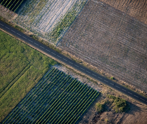 Vista aérea da estrada vazia e campos