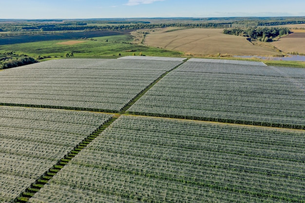 Vista aérea da estufa de plástico no pomar de maçã. o cultivo de plantas na agricultura orgânica.