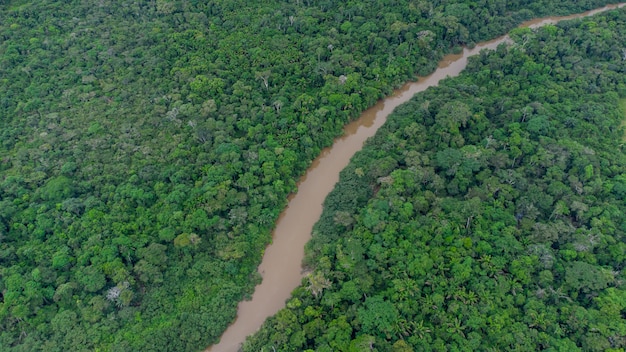 Vista aérea da floresta amazônica no Brasil, América do Sul. Floresta verde. Vista aérea.