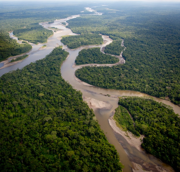 Foto vista aérea da floresta amazônica