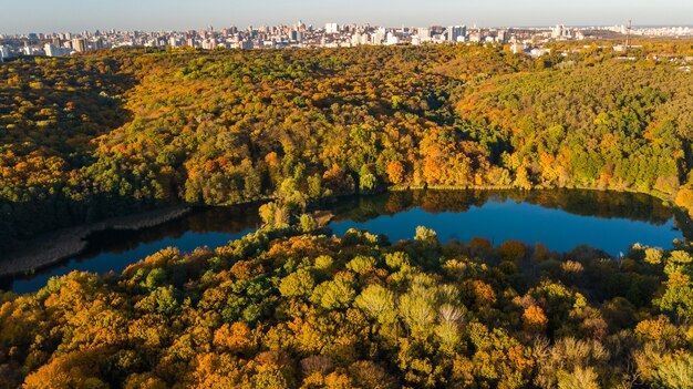 vista aérea da floresta com árvores amarelas e bela paisagem do lago de cima, Kiev, floresta Goloseevo, Ucrânia