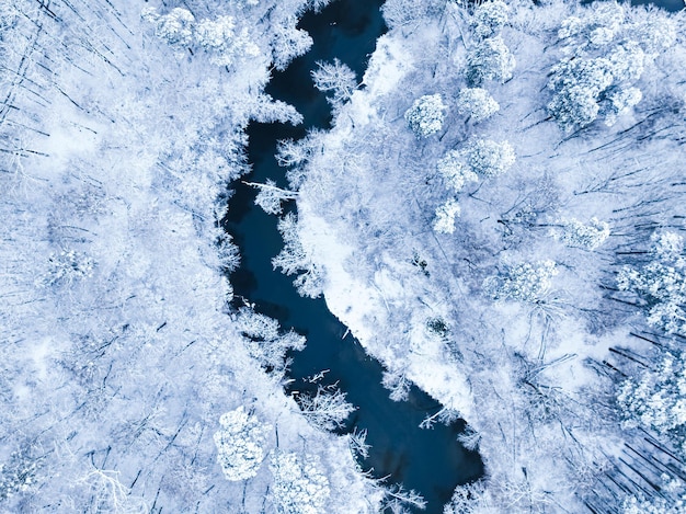 Vista aérea da floresta de neve e pequeno rio no inverno