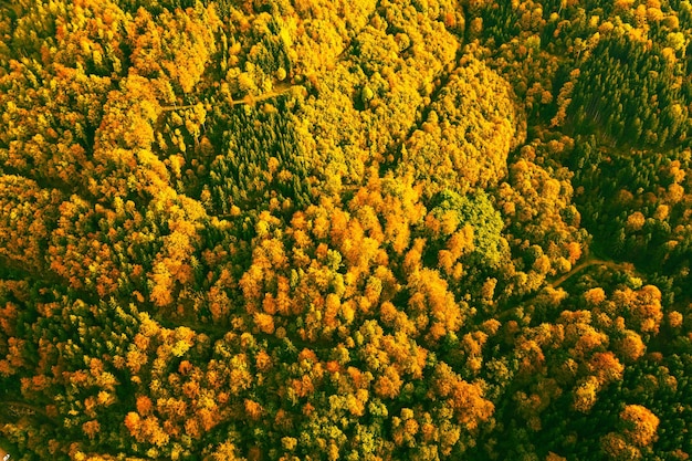 Vista aérea da floresta de outono na Estíria do Sul Coração Verde da Áustria
