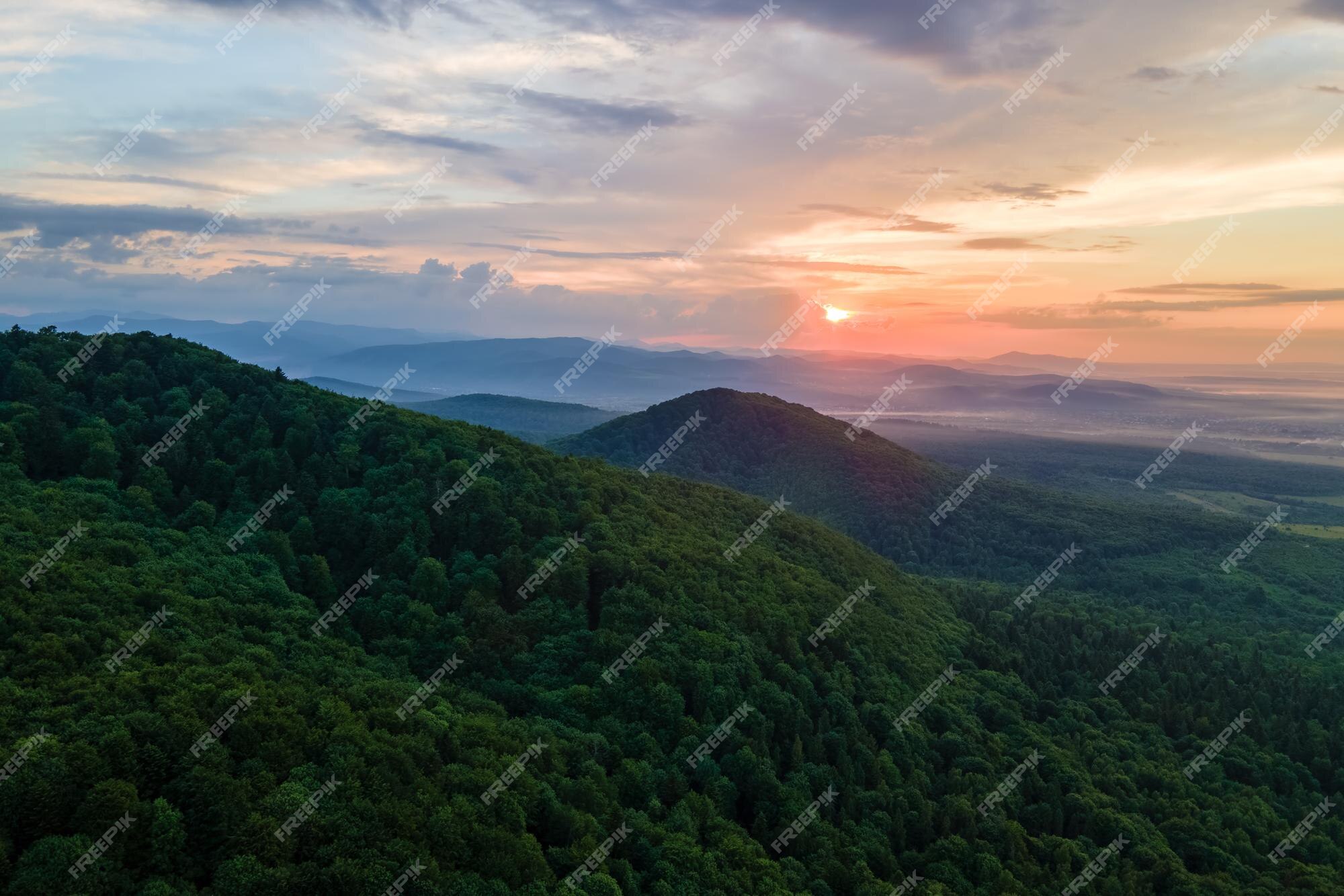 Paisagem Da Noite Com Colinas, Floresta Escura, Abeto-árvores