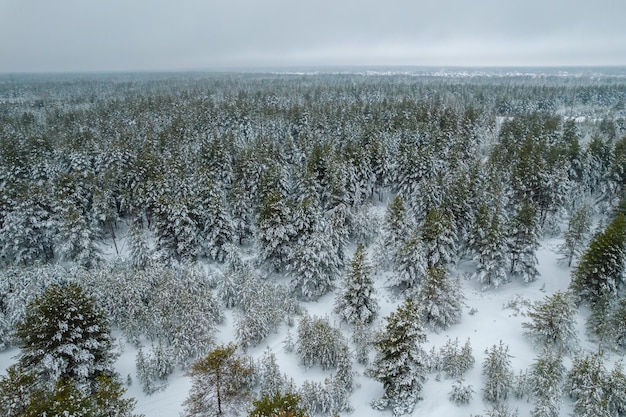 Vista aérea da floresta em uma foto de drone de inverno