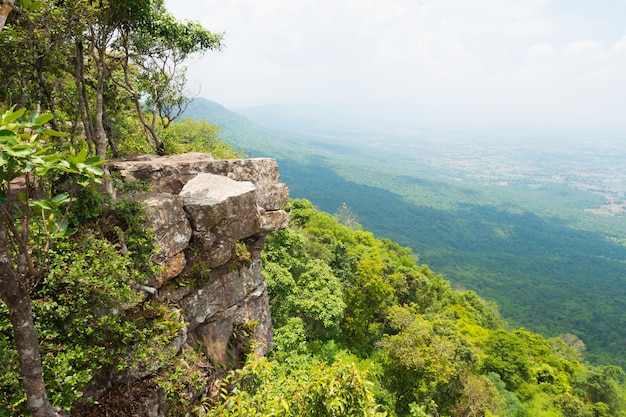 Vista aérea da floresta. falésias nas montanhas