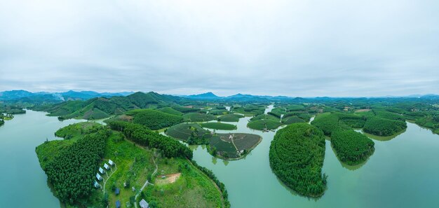 Foto vista aérea da ilha de thanh chuong, colina de chá, paisagem verde, fundo de folha verde, thanh chuung nghe, vietnã