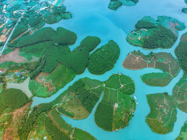 Foto vista aérea da ilha de thanh chuong, colina de chá, paisagem verde, fundo de folha verde, thanh chuung nghe, vietnã