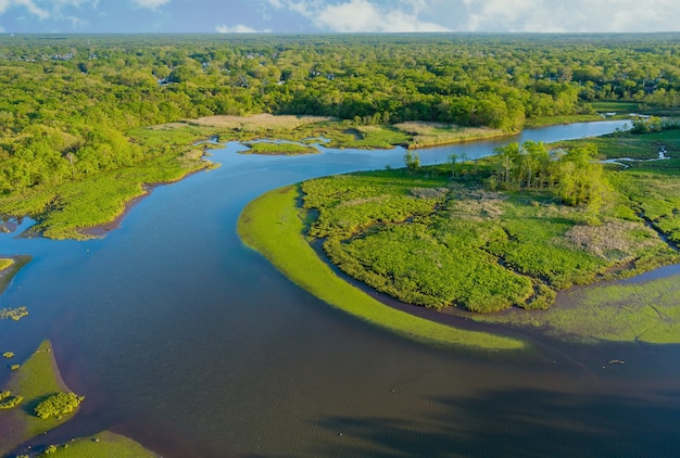 Vista aérea da lagoa natural em um panorama da floresta em um dia ensolarado de verão