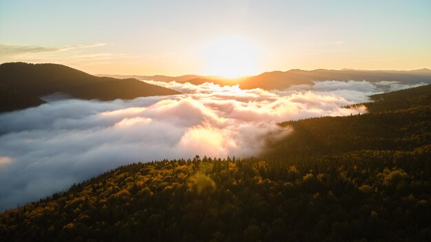 Vista aérea da manhã de neblina brilhante sobre as árvores da floresta de montanha escura ao nascer do sol do outono. Belas paisagens da floresta selvagem ao amanhecer.