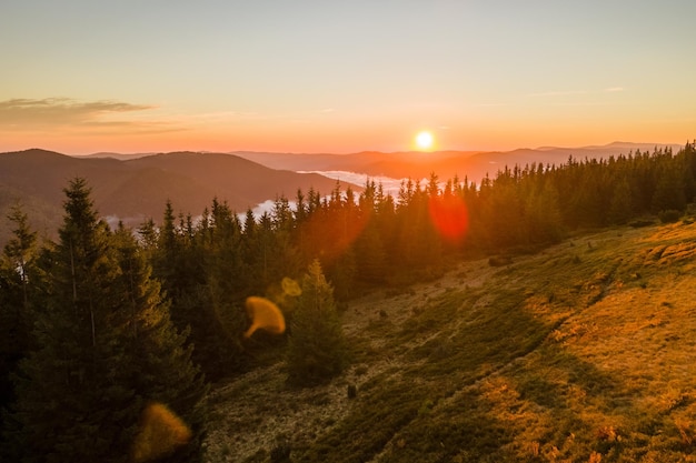 Vista aérea da manhã de neblina brilhante sobre as árvores da floresta de montanha escura ao nascer do sol do outono Belas paisagens da floresta selvagem ao amanhecer