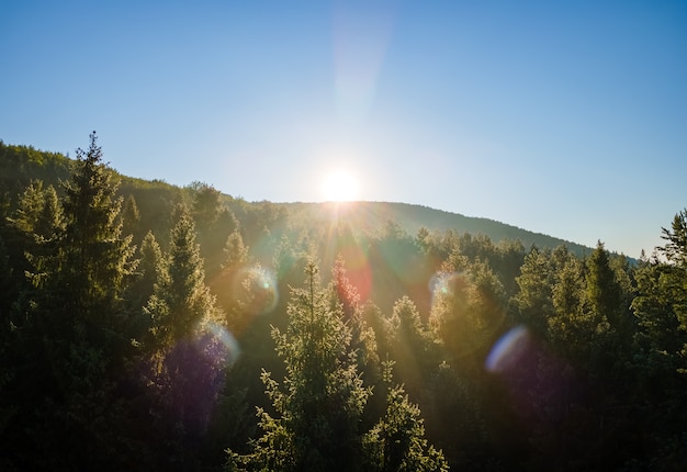 Vista aérea da manhã nevoenta brilhante sobre as árvores da floresta escura ao nascer do sol quente de verão. belas paisagens da floresta selvagem ao amanhecer.