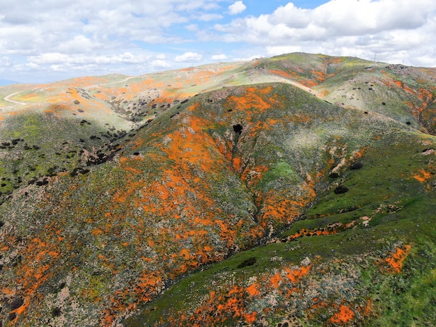 Vista aérea da montanha com California Golden Poppy e Goldfields florescendo em Walker Canyon