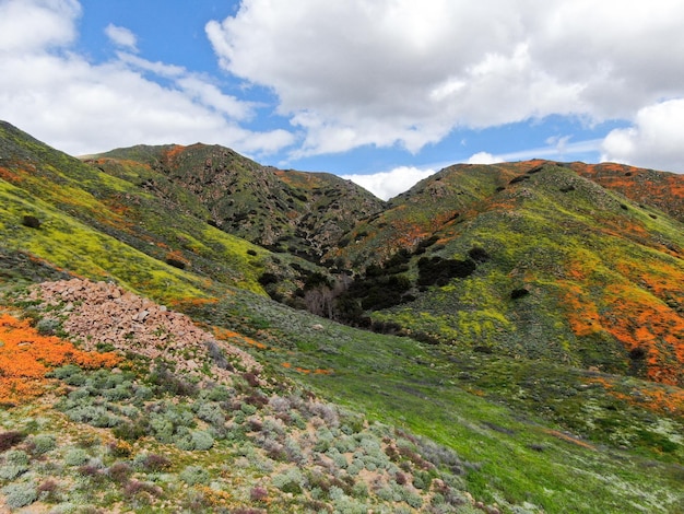 Vista aérea da montanha com California Golden Poppy e Goldfields florescendo em Walker Canyon