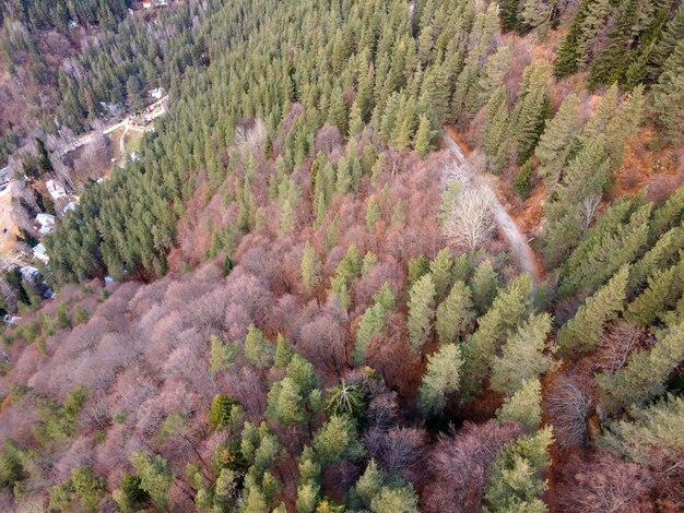 Foto vista aérea da montanha pirin na região de popina laka, bulgária