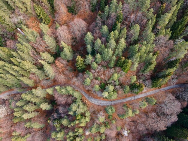 Foto vista aérea da montanha pirin na região de popina laka, bulgária