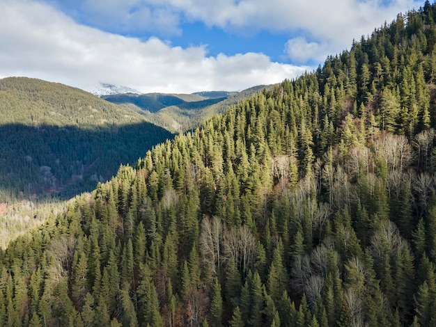 Vista aérea da Montanha Pirin na região de Popina Laka, Bulgária