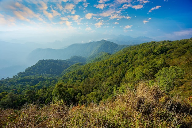 Vista aérea da névoa matinal na floresta tropical montanha ao fundo da floresta e névoa aérea