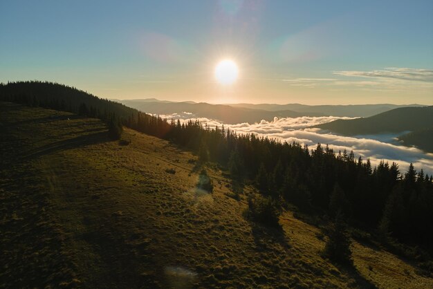 Vista aérea da noite de neblina sobre pinheiros escuros ao pôr do sol brilhante. cenário incrível de floresta de montanha selvagem ao entardecer.