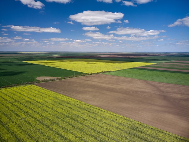 Vista aérea da paisagem com campos agrícolas de colza amarela, primavera.