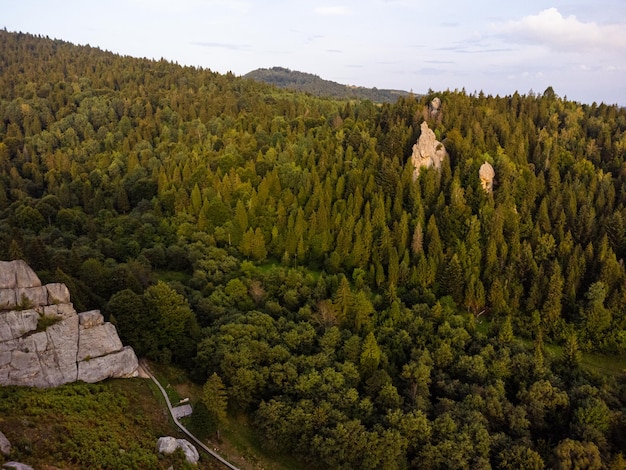 Vista aérea da paisagem da floresta de montanha