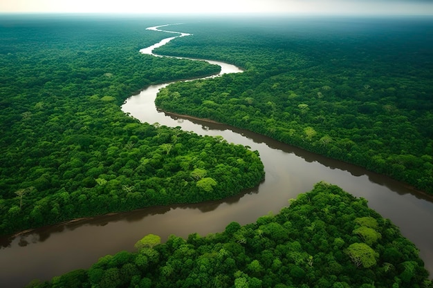 Vista aérea da paisagem da selva amazônica com a curva do rio Generative AI