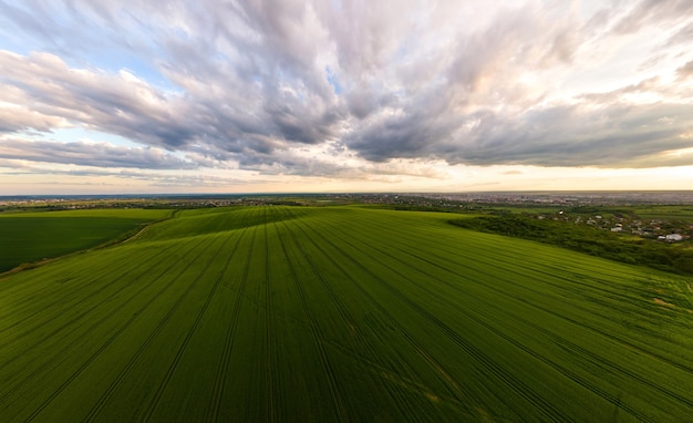 Vista aérea da paisagem de campos agrícolas cultivados com plantações em crescimento