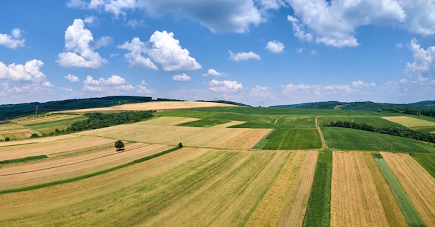 Vista aérea da paisagem de campos agrícolas cultivados verdes com cultivos em dia de verão brilhante.