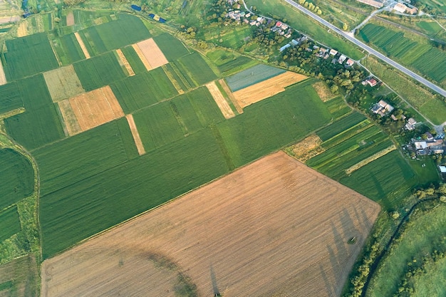 Vista aérea da paisagem de campos agrícolas cultivados verdes e amarelos com cultivos em dia de verão brilhante