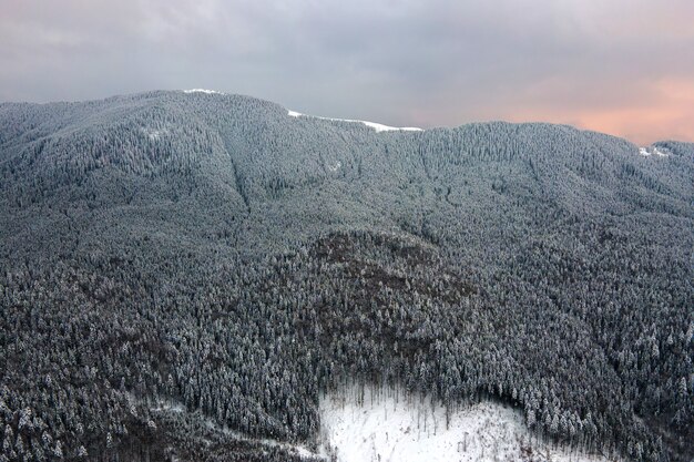 Vista aérea da paisagem de inverno com colinas cobertas por uma floresta de pinheiros depois de uma forte nevasca na noite fria e tranquila.