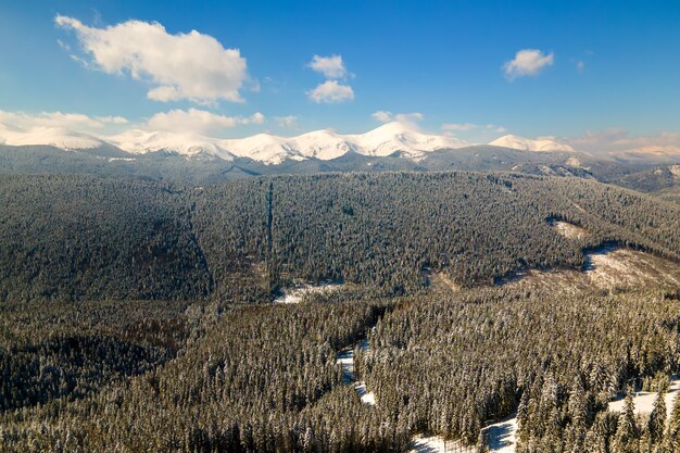 Vista aérea da paisagem de inverno com colinas cobertas por uma floresta de pinheiros verdes após forte nevasca em um dia frio e brilhante.