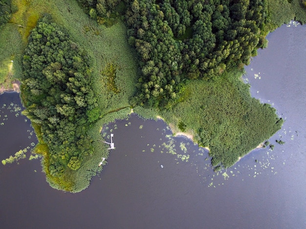 Vista aérea da paisagem de verão com rio e floresta verde