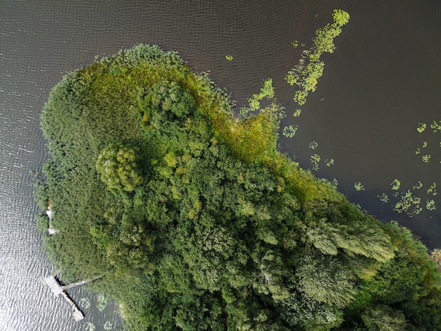 Vista aérea da paisagem de verão com rio e floresta verde