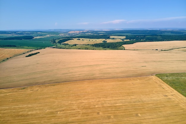 Vista aérea da paisagem do campo agrícola cultivado amarelo com palha seca de trigo cortado após a colheita.