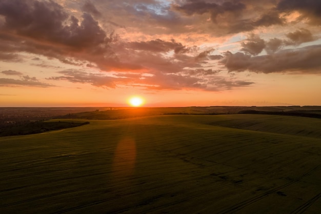 Vista aérea da paisagem do campo agrícola cultivado amarelo com trigo maduro na vibrante noite de verão