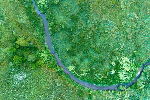 Vista aérea da paisagem sobre o rio Rússia