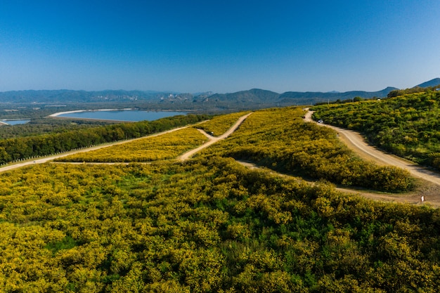 Vista aérea da paisagem verde scenics