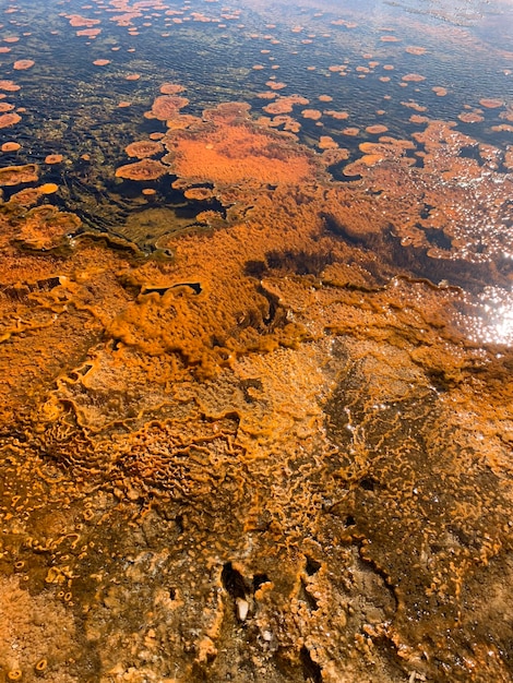 Foto vista aérea da paisagem