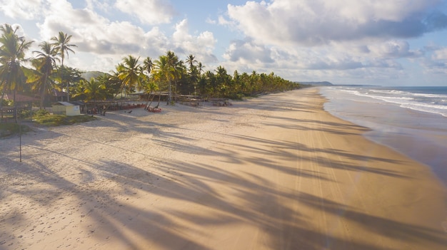 Vista aérea da praia com coqueiros no litoral de Ilhéus Bahia Brasil.