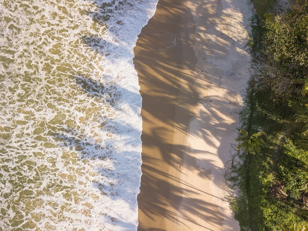 Vista aérea da praia com ondas deslumbrantes.