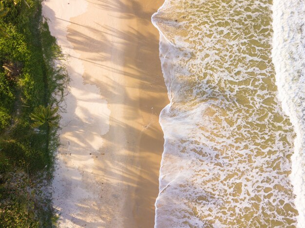 Vista aérea da praia com ondas deslumbrantes.