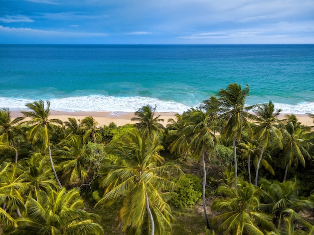 Vista aérea da praia tropical